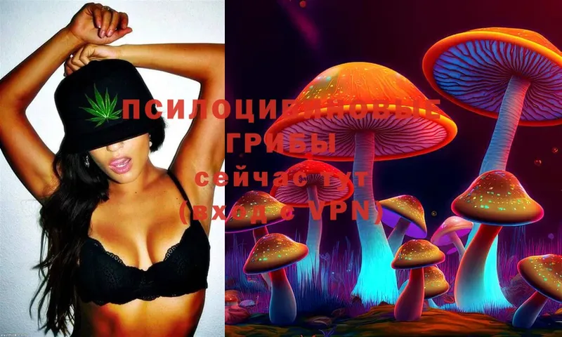 Галлюциногенные грибы MAGIC MUSHROOMS  Лесосибирск 